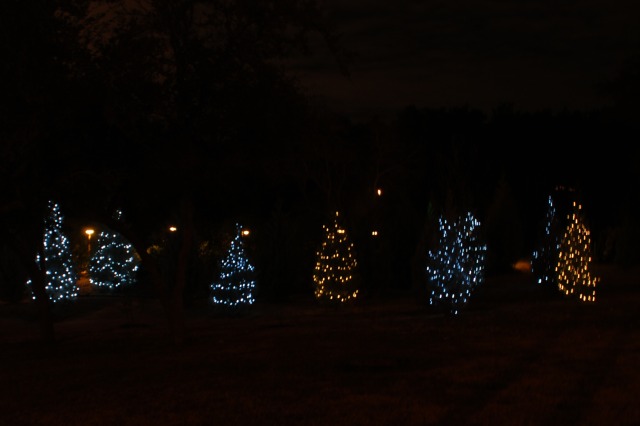 2013-12-14 21-16-26 Christmas Decor.jpg
